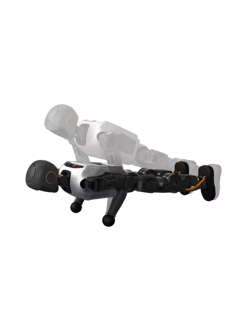 BOOSTER T1 - High-Performance Versatile Humanoid Robot -  DEXTEROUS HAND