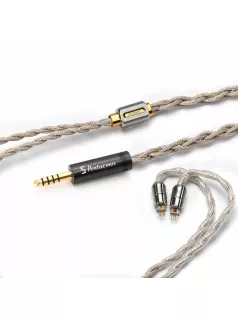   DD HIFI BC130 NET - Shielded OCC IEM Upgrade Cable with Interchangeable 0.78mm 2-Pin and MMCX Connectors - BC130NET Pentaconn