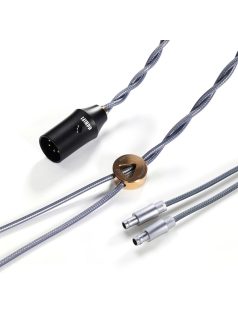   DD HIFI BC150XLR 2-PIN RECESSED - Balanced Silver Headphone Cable with 4-Pin XLR Connector - 195cm