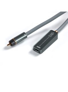   DD HIFI TC100-COA - Digital adapter with Coax MALE to USB Type-C FEMALE connectors - 35cm