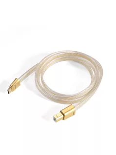   DD HIFI TC19BC COMET GOLD - OTG Cable with USB-B and USB-C Connectors