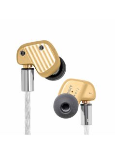   FINAL AUDIO A10000 COLLECTOR'S EDITION - Limited Edition Single Dynamic Driver Premium In-ear Monitor Earphones with Silver Plated MMCX Cable