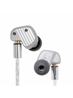   FINAL AUDIO A10000 - Single Dynamic Driver Premium In-ear Monitor Earphones with Silver Plated MMCX Cable