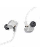 FINAL AUDIO A10000 - Single Dynamic Driver Premium In-ear Monitor Earphones with Silver Plated MMCX Cable