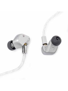   FINAL AUDIO A10000 - Single Dynamic Driver Premium In-ear Monitor Earphones with Silver Plated MMCX Cable