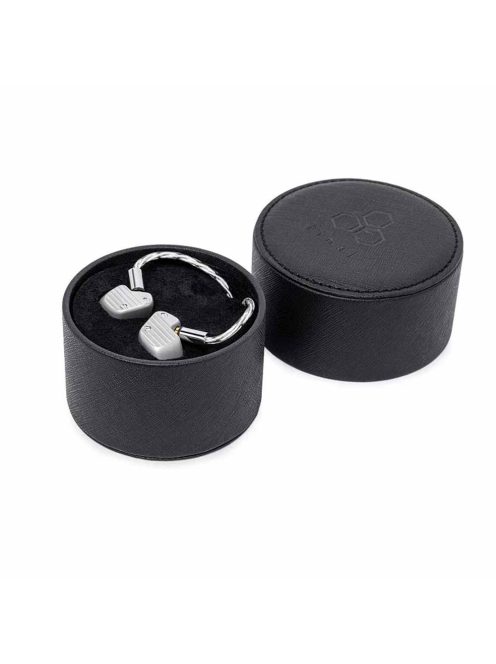 FINAL AUDIO A10000 - Single Dynamic Driver Premium In-ear Monitor Earphones with Silver Plated MMCX Cable