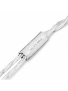 FINAL AUDIO A10000 - Single Dynamic Driver Premium In-ear Monitor Earphones with Silver Plated MMCX Cable