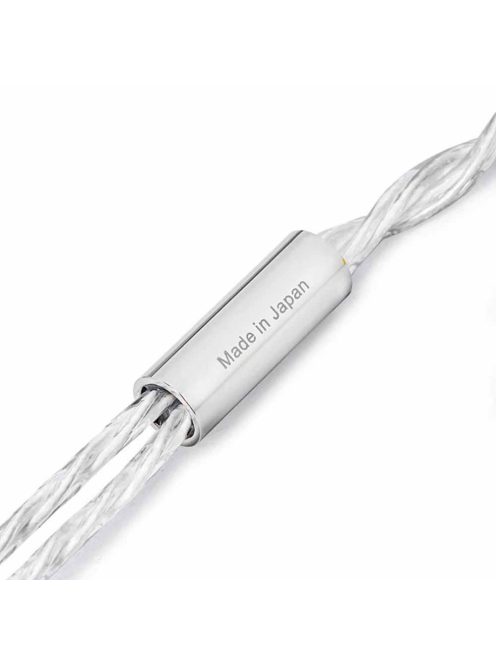 FINAL AUDIO A10000 - Single Dynamic Driver Premium In-ear Monitor Earphones with Silver Plated MMCX Cable