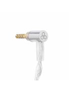 FINAL AUDIO A10000 - Single Dynamic Driver Premium In-ear Monitor Earphones with Silver Plated MMCX Cable