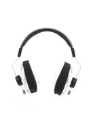 FINAL AUDIO D8000 - Over-Ear Open-Back Wired High-End Planar Headphones - Silver