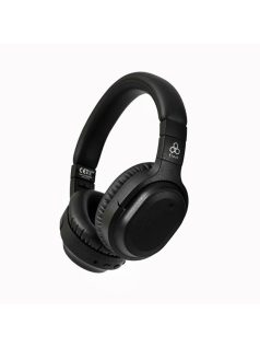   FINAL AUDIO UX3000 SV - Over-Ear Closed-Back Bluetooth 5 Headphones with ANC aptX HD