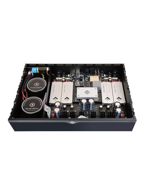 GUSTARD R30 - High-end Desktop Network Streamer and Discrete R2R DAC I2S LAN AirPlay Roon Spotify 32bit 1536kHz DSD1024 - Black