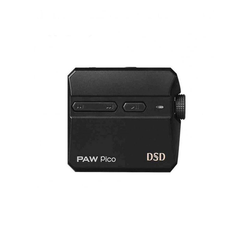 LTO-PAW-PICO.webp