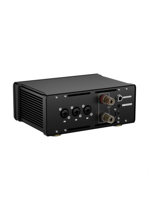 TOPPING B200 - High-End Desktop Mono-Verstärker-Einheit 200W 4 Ohm - Schwarz