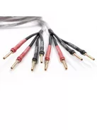 MELODIKA BROWN SUGAR SERIES BSBA225 - Banana Bi-Amp Speaker Cable Pair (2x2mm2 + 2x2,5mm2) - 1,5m