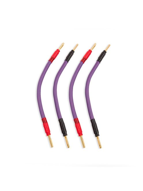 MELODIKA LILA SERIE MDSC1501 - Bananenstecker-Brückenkabel-Paar