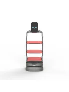 ORIONSTAR LUCKIBOT AUTO RECHARGING - A.I. Controlled Intelligent Delivery Robot for Hospitality and Service Environments With Self-Charging Dock