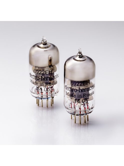 STAX SRM-T8000 AMPLIFIER - High-end Desktop Amplifier for STAX and Other Electrostatic Headphones - Silver