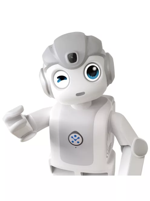 UBTECH ALPHA MINI - A.I. driven programmable humanoid robot for educational and hobby purposes
