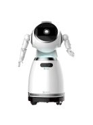 UBTECH CRUZR 1S - Programmable humanoid service robot