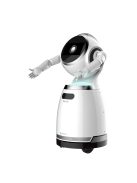 UBTECH CRUZR 1S - Programmable humanoid service robot