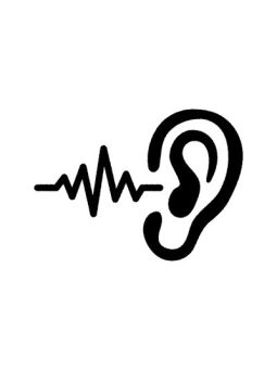 Ruisfilter / Gehoorbescherming / Reizen / Werk