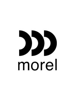Morel