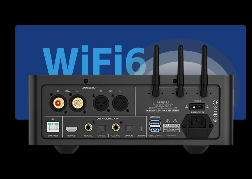 Shanling SM1.3R R2R DAC feature detail
