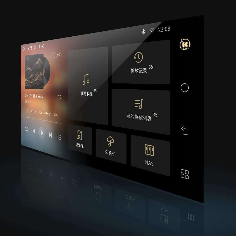Shanling SM1.3R R2R DAC feature detail